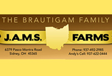 Brautigam